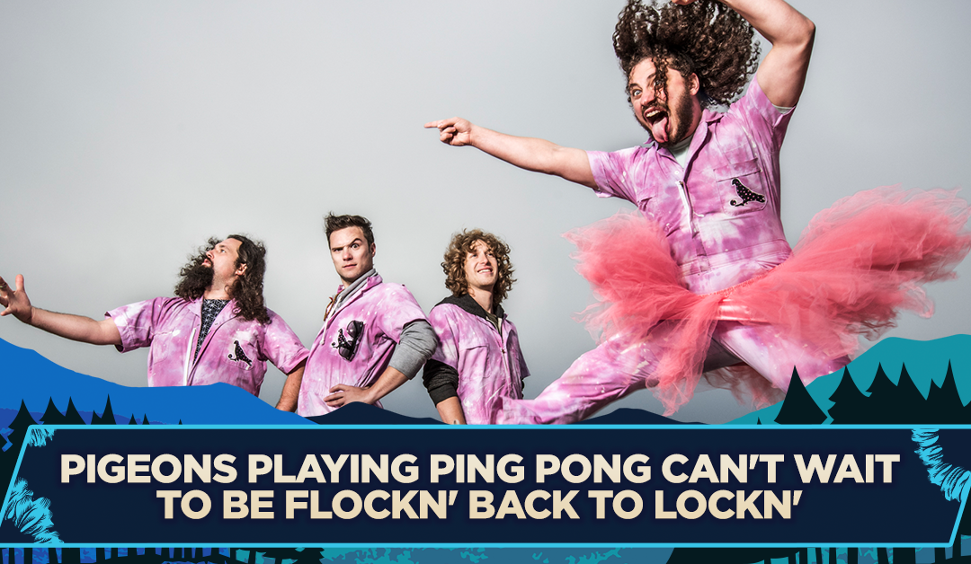 Pigeons Playing Ping Pong Can’t Wait to be FLOCKN’ Back to LOCKN’
