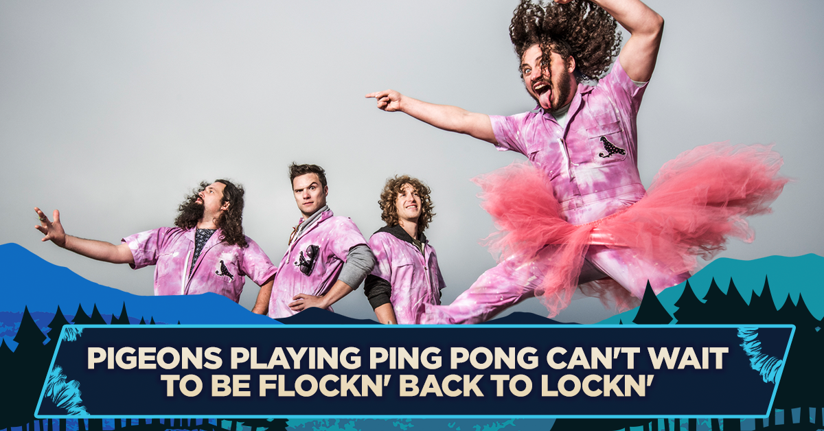 Pigeons Playing Ping Pong Can’t Wait to be FLOCKN’ Back to LOCKN’