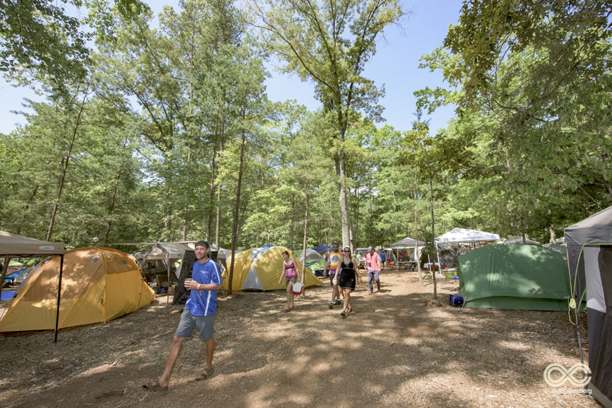 A Limited Number of Forest Camping Spots Have Been Released